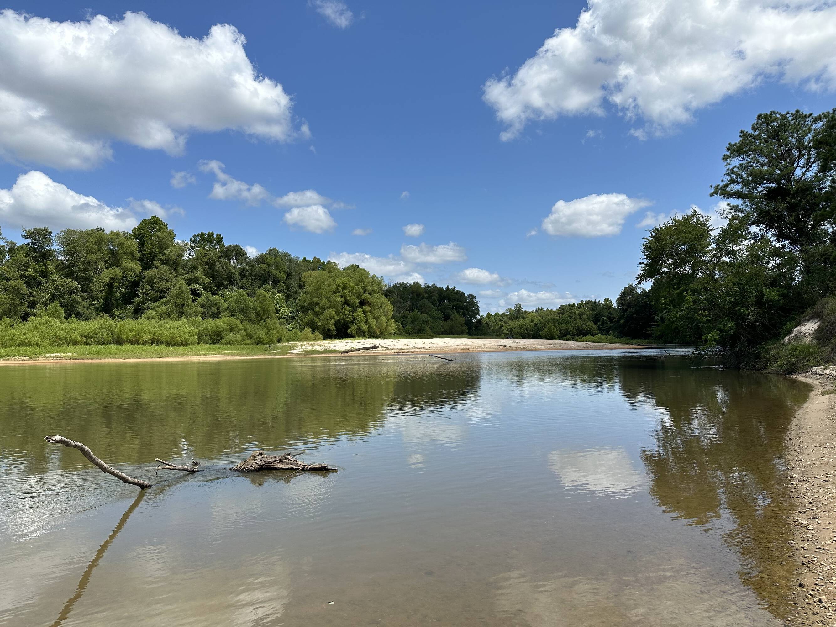 Land for Sale in Franklinton Louisiana 70438